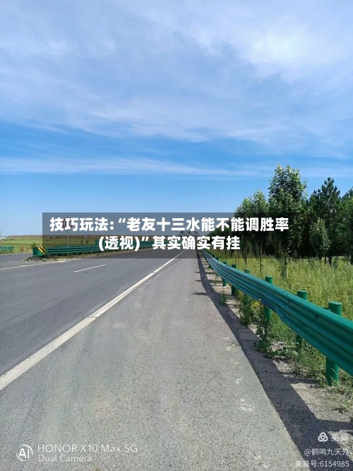 技巧玩法:“老友十三水能不能调胜率(透视)”其实确实有挂-第2张图片