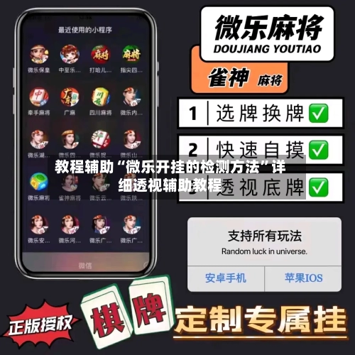教程辅助“微乐开挂的检测方法	”详细透视辅助教程-第2张图片