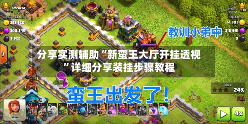 分享实测辅助“新蛮王大厅开挂透视”详细分享装挂步骤教程-第3张图片
