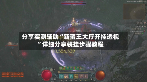分享实测辅助“新蛮王大厅开挂透视”详细分享装挂步骤教程-第2张图片