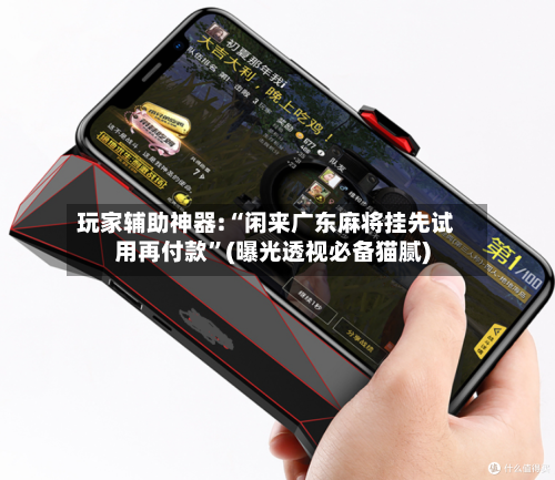 玩家辅助神器:“闲来广东麻将挂先试用再付款”(曝光透视必备猫腻)-第2张图片