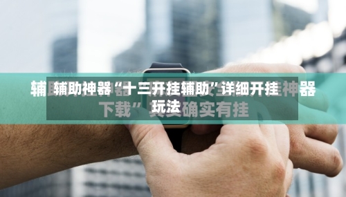 辅助神器“十三开挂辅助	”详细开挂玩法-第2张图片