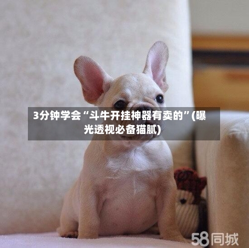 3分钟学会“斗牛开挂神器有卖的”(曝光透视必备猫腻)-第2张图片
