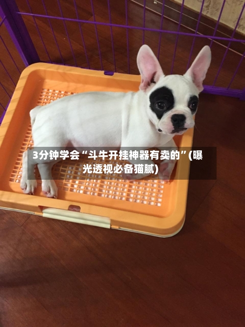 3分钟学会“斗牛开挂神器有卖的	”(曝光透视必备猫腻)-第3张图片