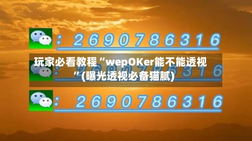 玩家必看教程“wepOKer能不能透视	”(曝光透视必备猫腻)-第2张图片