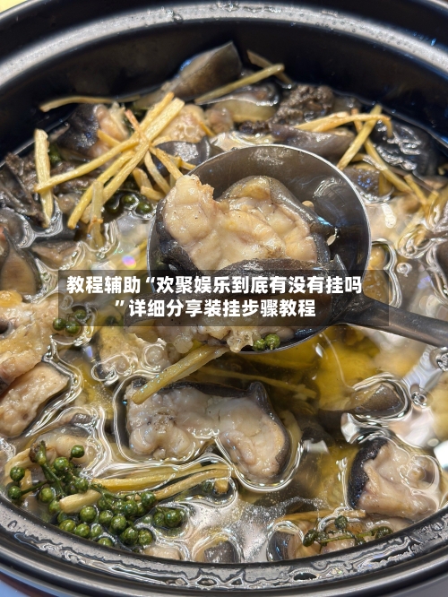 教程辅助“欢聚娱乐到底有没有挂吗	”详细分享装挂步骤教程-第2张图片