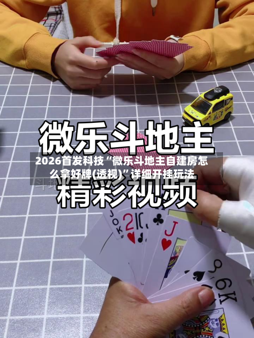 2026首发科技“微乐斗地主自建房怎么拿好牌(透视)”详细开挂玩法-第3张图片