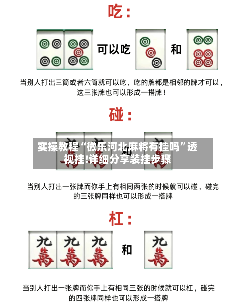 实操教程“微乐河北麻将有挂吗”透视挂!详细分享装挂步骤-第3张图片