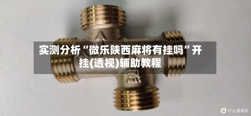 实测分析“微乐陕西麻将有挂吗”开挂(透视)辅助教程-第3张图片