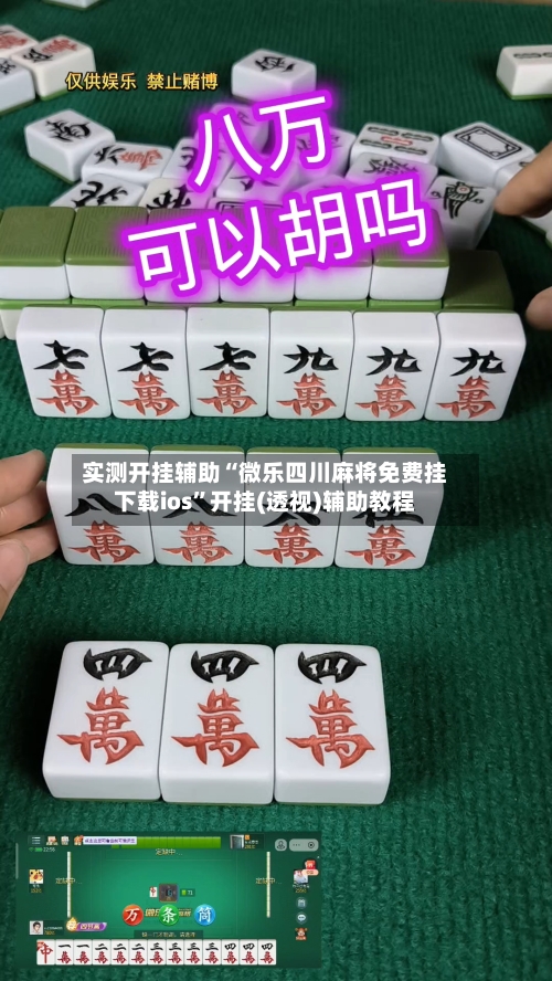 实测开挂辅助“微乐四川麻将免费挂下载ios	”开挂(透视)辅助教程-第2张图片