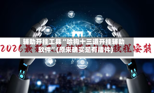辅助开挂工具“哈狗十三道开挂辅助软件”(原来确实是有插件)