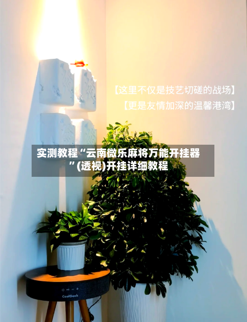 实测教程“云南微乐麻将万能开挂器	”(透视)开挂详细教程-第2张图片