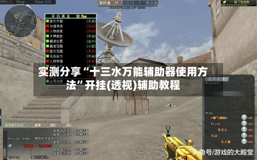 实测分享“十三水万能辅助器使用方法”开挂(透视)辅助教程-第2张图片