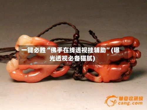 一键必胜“佛手在线透视挂辅助”(曝光透视必备猫腻)-第2张图片