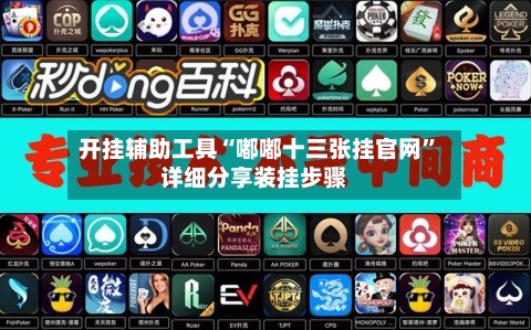 开挂辅助工具“嘟嘟十三张挂官网”详细分享装挂步骤