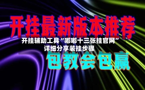 开挂辅助工具“嘟嘟十三张挂官网”详细分享装挂步骤-第3张图片
