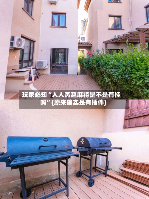 玩家必知“人人燕赵麻将是不是有挂吗”(原来确实是有插件)-第2张图片