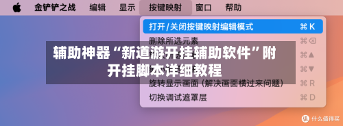 辅助神器“新道游开挂辅助软件	”附开挂脚本详细教程-第3张图片