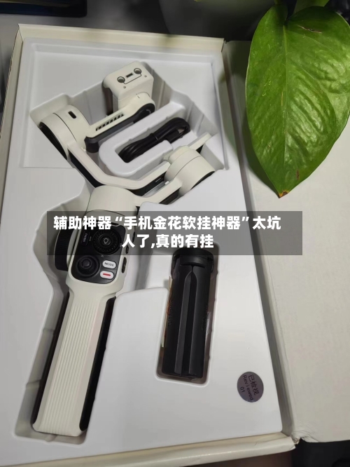 辅助神器“手机金花软挂神器	”太坑人了,真的有挂-第3张图片