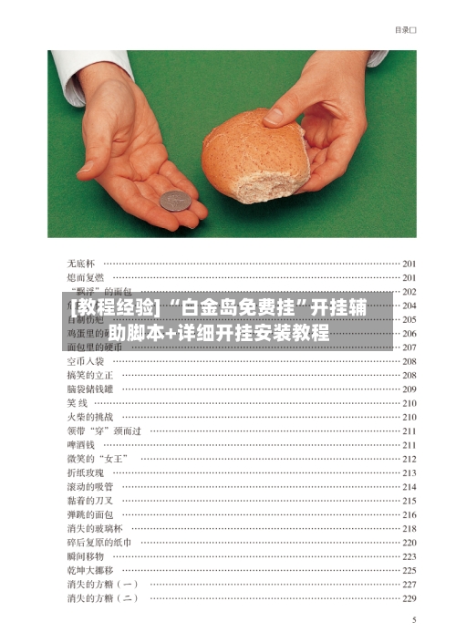[教程经验] “白金岛免费挂”开挂辅助脚本+详细开挂安装教程-第2张图片
