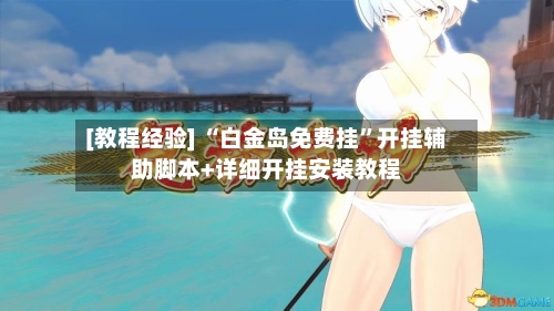 [教程经验] “白金岛免费挂	”开挂辅助脚本+详细开挂安装教程-第3张图片