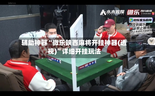 辅助神器“微乐陕西麻将开挂神器(透视)	”详细开挂玩法-第2张图片