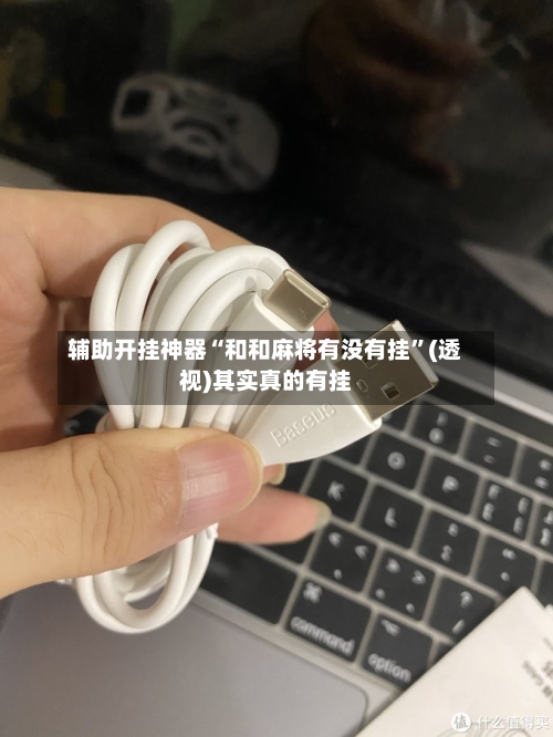 辅助开挂神器“和和麻将有没有挂	”(透视)其实真的有挂-第2张图片