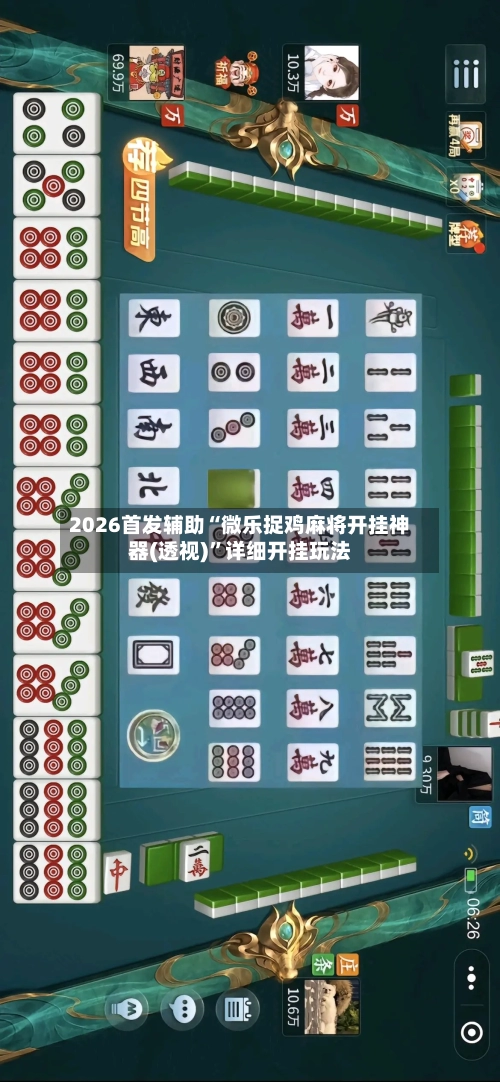 2026首发辅助“微乐捉鸡麻将开挂神器(透视)”详细开挂玩法-第3张图片