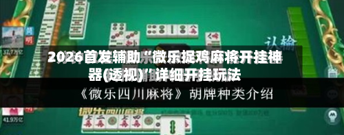2026首发辅助“微乐捉鸡麻将开挂神器(透视)	”详细开挂玩法-第2张图片