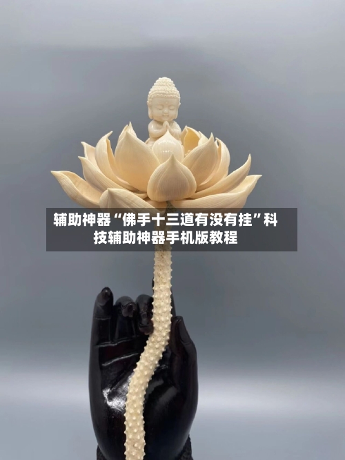 辅助神器“佛手十三道有没有挂	”科技辅助神器手机版教程-第2张图片