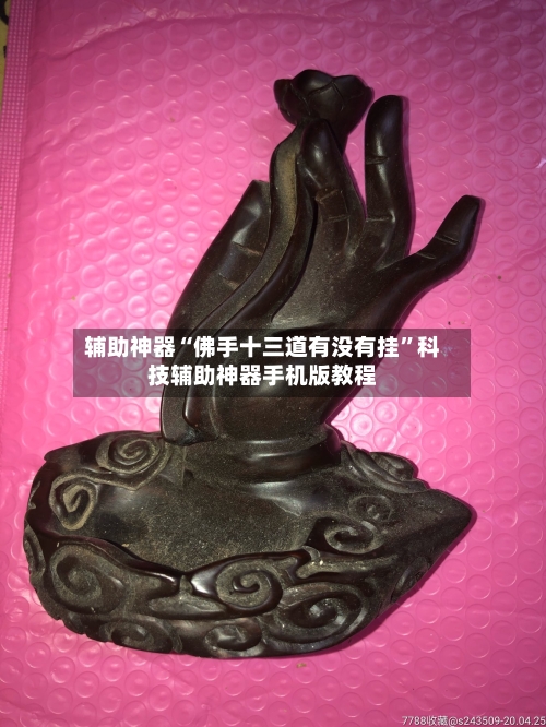 辅助神器“佛手十三道有没有挂”科技辅助神器手机版教程-第3张图片