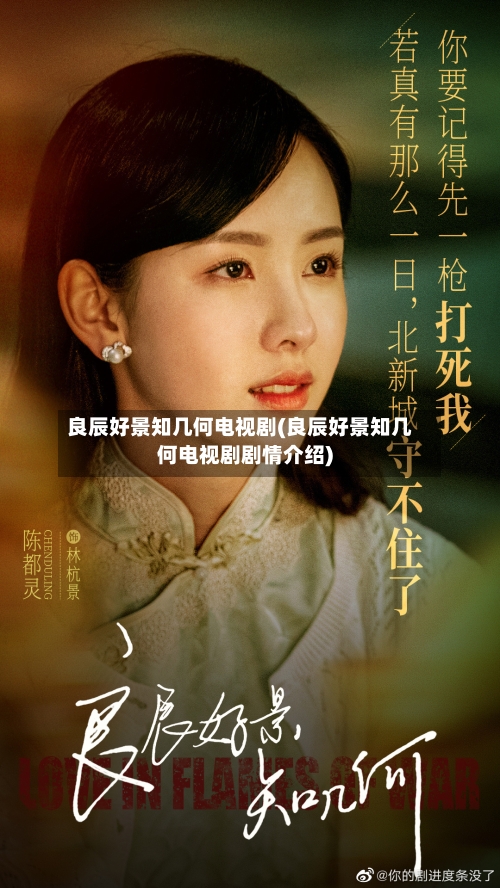 良辰好景知几何电视剧(良辰好景知几何电视剧剧情介绍)-第1张图片