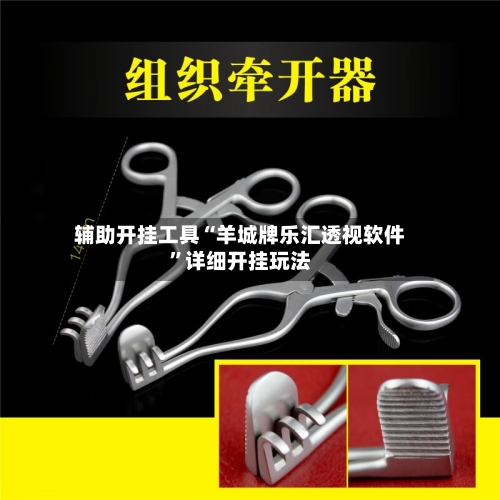 辅助开挂工具“羊城牌乐汇透视软件”详细开挂玩法-第2张图片