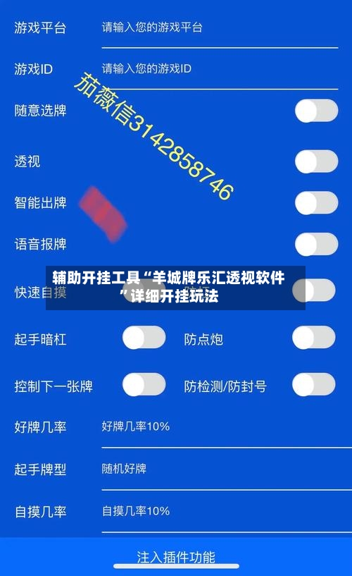 辅助开挂工具“羊城牌乐汇透视软件”详细开挂玩法-第3张图片