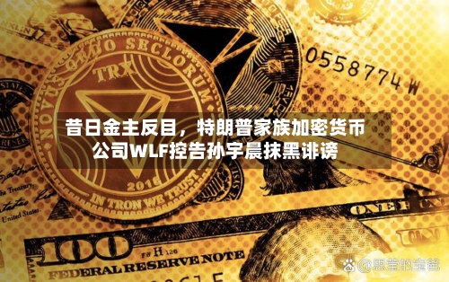 昔日金主反目，特朗普家族加密货币公司WLF控告孙宇晨抹黑诽谤-第2张图片