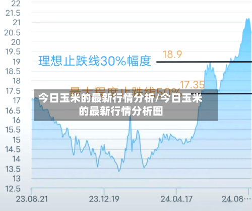 今日玉米的最新行情分析/今日玉米的最新行情分析图