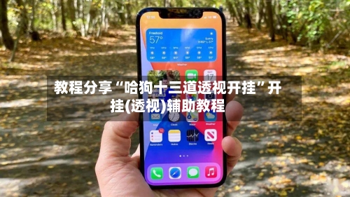 教程分享“哈狗十三道透视开挂”开挂(透视)辅助教程-第2张图片