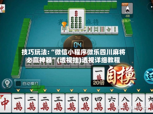 技巧玩法:“微信小程序微乐四川麻将必赢神器	”(透视挂)透视详细教程-第2张图片