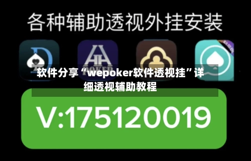 软件分享“wepoker软件透视挂”详细透视辅助教程-第3张图片