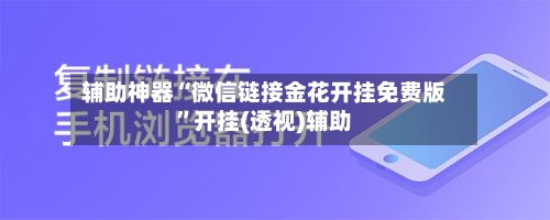 辅助神器“微信链接金花开挂免费版”开挂(透视)辅助-第3张图片