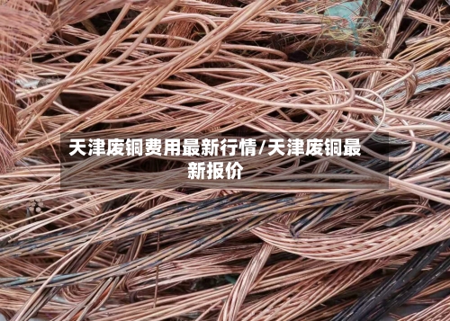 天津废铜费用最新行情/天津废铜最新报价