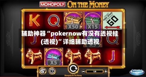 辅助神器“pokernow有没有透视挂(透视)	”详细辅助透视-第3张图片