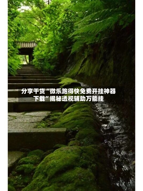 分享干货“微乐跑得快免费开挂神器下载”揭秘透视辅助万能挂