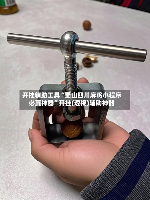 开挂辅助工具“蜀山四川麻将小程序必赢神器”开挂(透视)辅助神器-第3张图片
