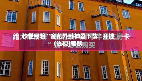 秒懂经验“金花外卦神器下载”开挂(透视)辅助-第3张图片