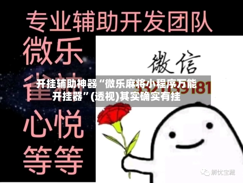 开挂辅助神器“微乐麻将小程序万能开挂器	”(透视)其实确实有挂-第2张图片