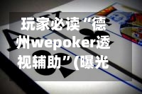 玩家必读“德州wepoker透视辅助	”(曝光透视必备猫腻)-第2张图片