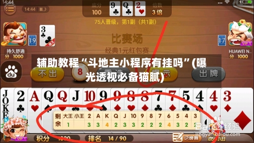 辅助教程“斗地主小程序有挂吗	”(曝光透视必备猫腻)-第2张图片