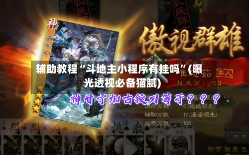 辅助教程“斗地主小程序有挂吗”(曝光透视必备猫腻)-第3张图片