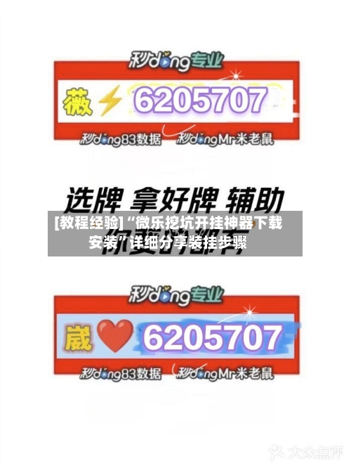 [教程经验]“微乐挖坑开挂神器下载安装	”详细分享装挂步骤-第2张图片
